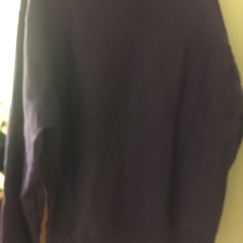 champion reverse weave sweatshirt - Picture 4 of 4
